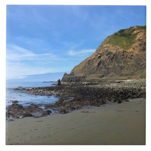 Carreau Parc d'État de Sisters Rock, côte de l'Oregon (Devant)