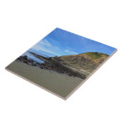 Carreau Parc d'État de Sisters Rock, côte de l'Oregon (Côté)