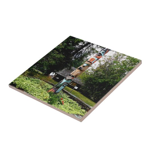 Carreau Parc Glacier du Totem des Amérindiens Montana (Côté)