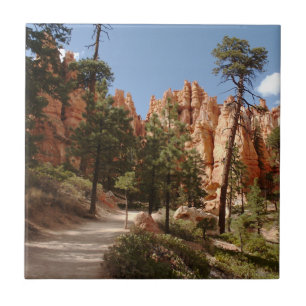 Carreau Parc national Bryce Canyon Trail