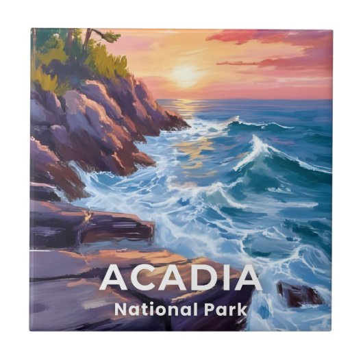Carreau Parc national d'Acadia | Otter Cliffs Voyage dans (Devant)