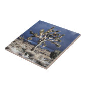 Carreau Parc national de la Californie, Joshua Tree (Côté)