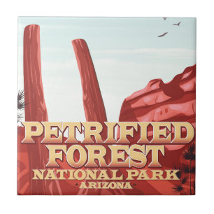 Carreau Parc national de la forêt pétrifiée, Arizona.