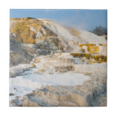 Carreau Parc national de Yellowstone (Devant)