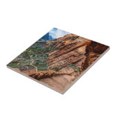 Carreau Parc national de Zion de traînée de l'atterrissage (Côté)