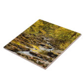 Carreau Parc national des Great Smoky Mountains. Big Creek (Côté)