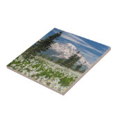 Carreau Parc national du Mont Rainier 1 (Côté)