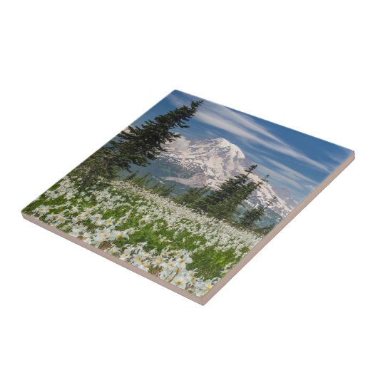 Carreau Parc national du Mont Rainier 1 (Côté)