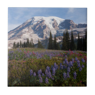 Carreau Parc national du mont Rainier, Mont Rainier 3
