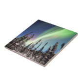 Carreau Parc national du nord des lumières | Denali (Côté)