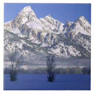 Carreau PARC NATIONAL GRAND TETON, WYOMING. USA. Brouillar