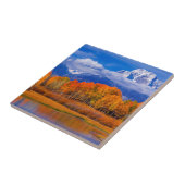 Carreau Parc national grand | Wyoming de Teton (Côté)