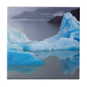 Carreau Parc national Torres del Paine, glace glaciaire