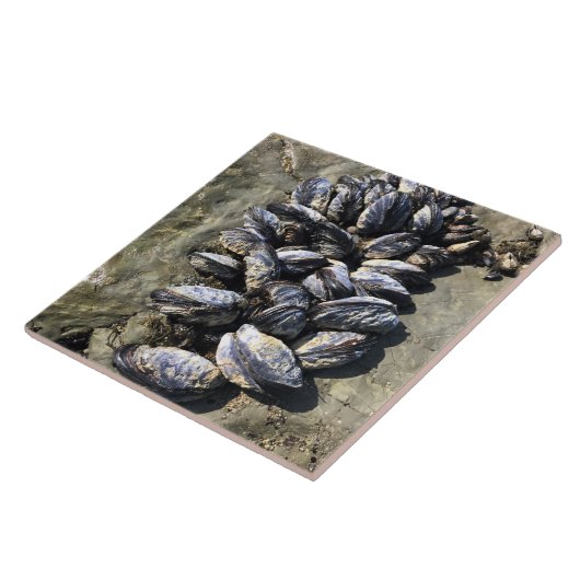 Carreau Parc Rock State de Sisters (Côté)