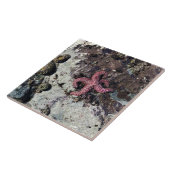 Carreau Parc Rock State de Sisters (Côté)