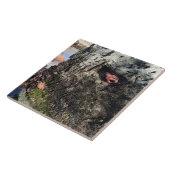 Carreau Parc Rock State de Sisters (Côté)