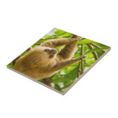 Carreau Paresse à l'envers des images | de Getty (Côté)