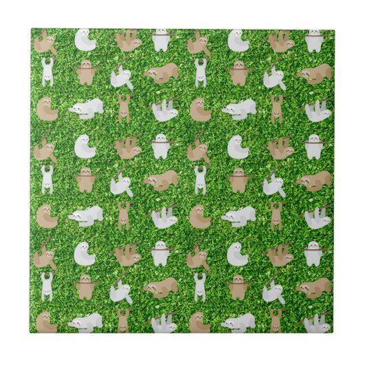 Carreau paresseux (Devant)