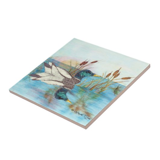 Carreau Parmi les Cattails (Côté)