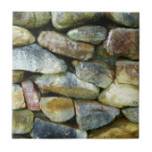 Carreau paroi rocheuse (Devant)