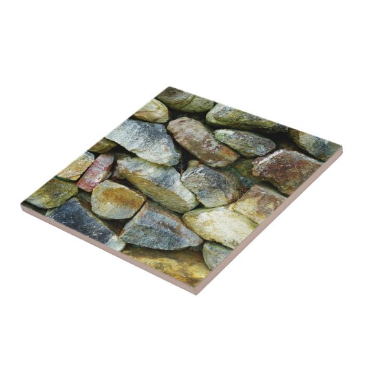 Carreau paroi rocheuse (Côté)