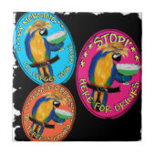 CARREAU PARROIS DE DRUNKIN (Devant)