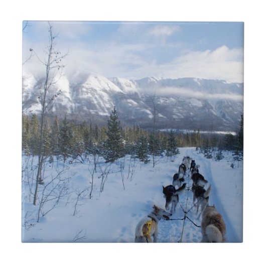 Carreau ParrotSleds - paysage (Devant)