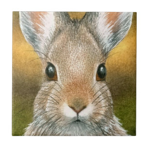 Carreau Partager 18 Lapin Lapin Lapin