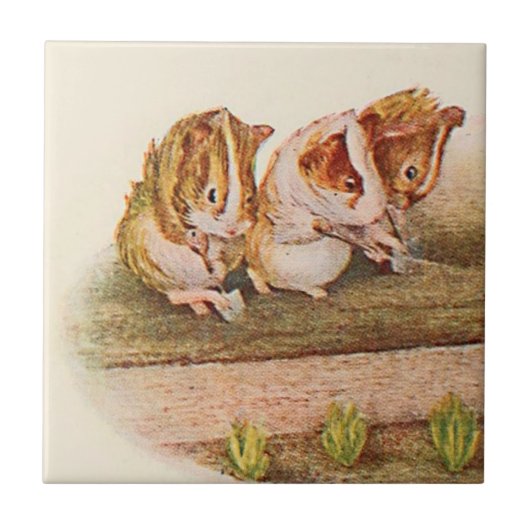 Carreau Partie de jardinage de cobayes de 2 (Devant)