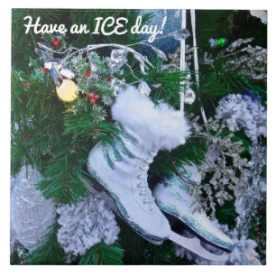 Carreau Parties scintillant bleue et patins à glace fourru