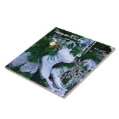 Carreau Parties scintillant bleue et patins à glace fourru (Côté)