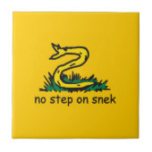 Carreau Pas de pas sur les mèmes de serpent Gadsden parodi (Devant)