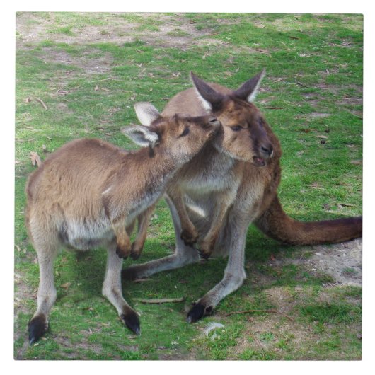 Carreau Pas maintenant Skippy (Devant)