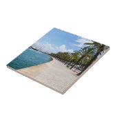 Carreau Paseo maritimo - Palma de Mallorca, Espagne (Côté)