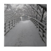 Carreau Passerelle (Devant)