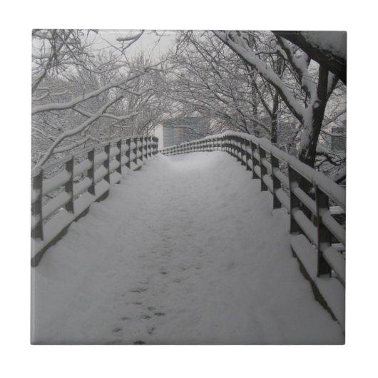 Carreau Passerelle (Devant)