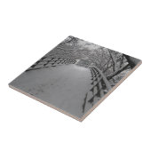 Carreau Passerelle (Côté)