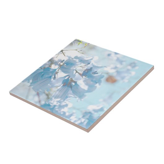 Carreau Pastel Bleu Doux Jacaranda Arbre Fleurs Fleurs (Côté)