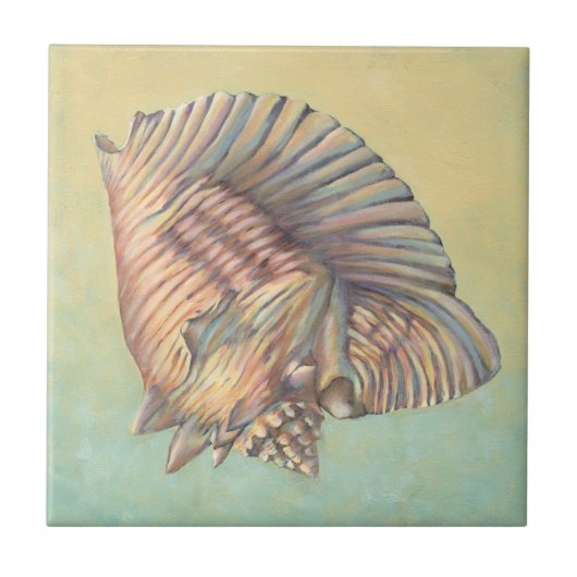 Carreau Pastel Large Conch Shell (Devant)