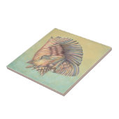 Carreau Pastel Large Conch Shell (Côté)