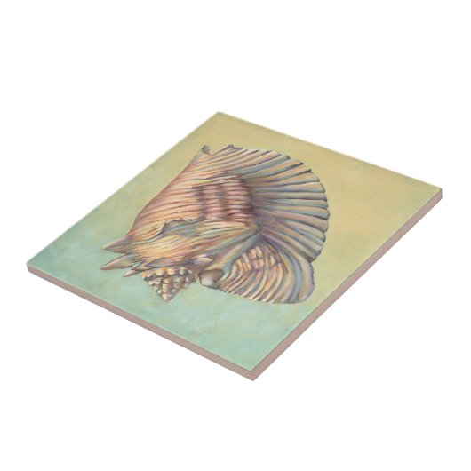 Carreau Pastel Large Conch Shell (Côté)