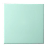 Carreau Pastel Mint bleu uni couleur | Classique | Élégant (Devant)