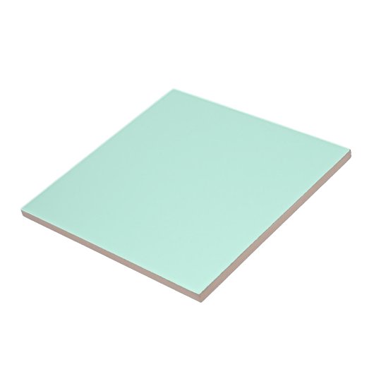 Carreau Pastel Mint bleu uni couleur | Classique | Élégant (Côté)