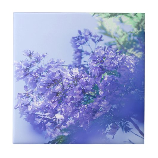 Carreau Pastel Pale Violet Jacaranda Arbre Fleurs (Devant)