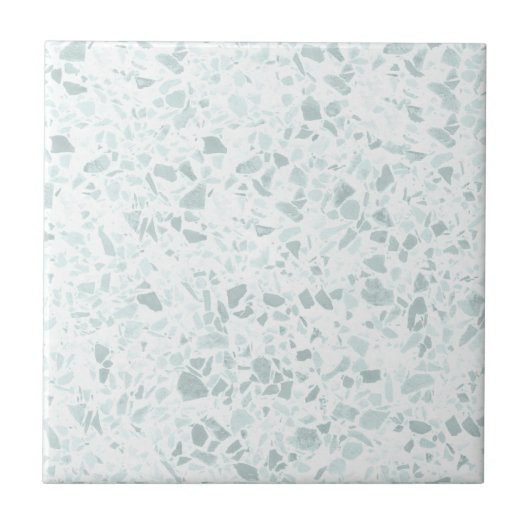 Carreau Pastel Sage et Blue Terrazzo Imprimer (Devant)