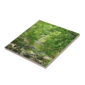 Carreau Patapsco River View Maryland Nature Photographie (Côté)