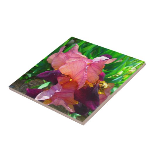 Carreau Patch de fleur Maroon Iris (Côté)