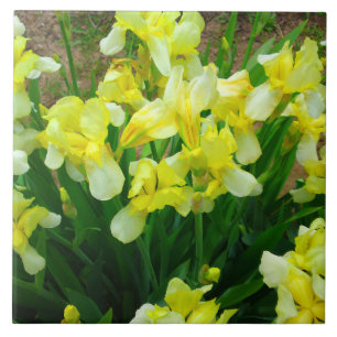 Carreau Patch jaune Iris