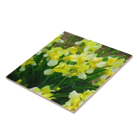 Carreau Patch jaune Iris (Côté)