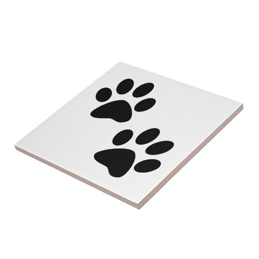 Carreau Pâtes (Côté)